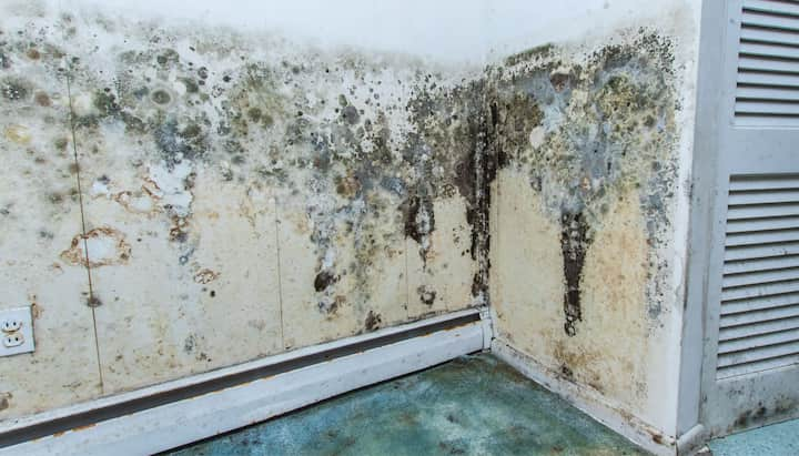 Professional mold removal, odor control, and water damage restoration service in Murfreesboro, Tennessee.