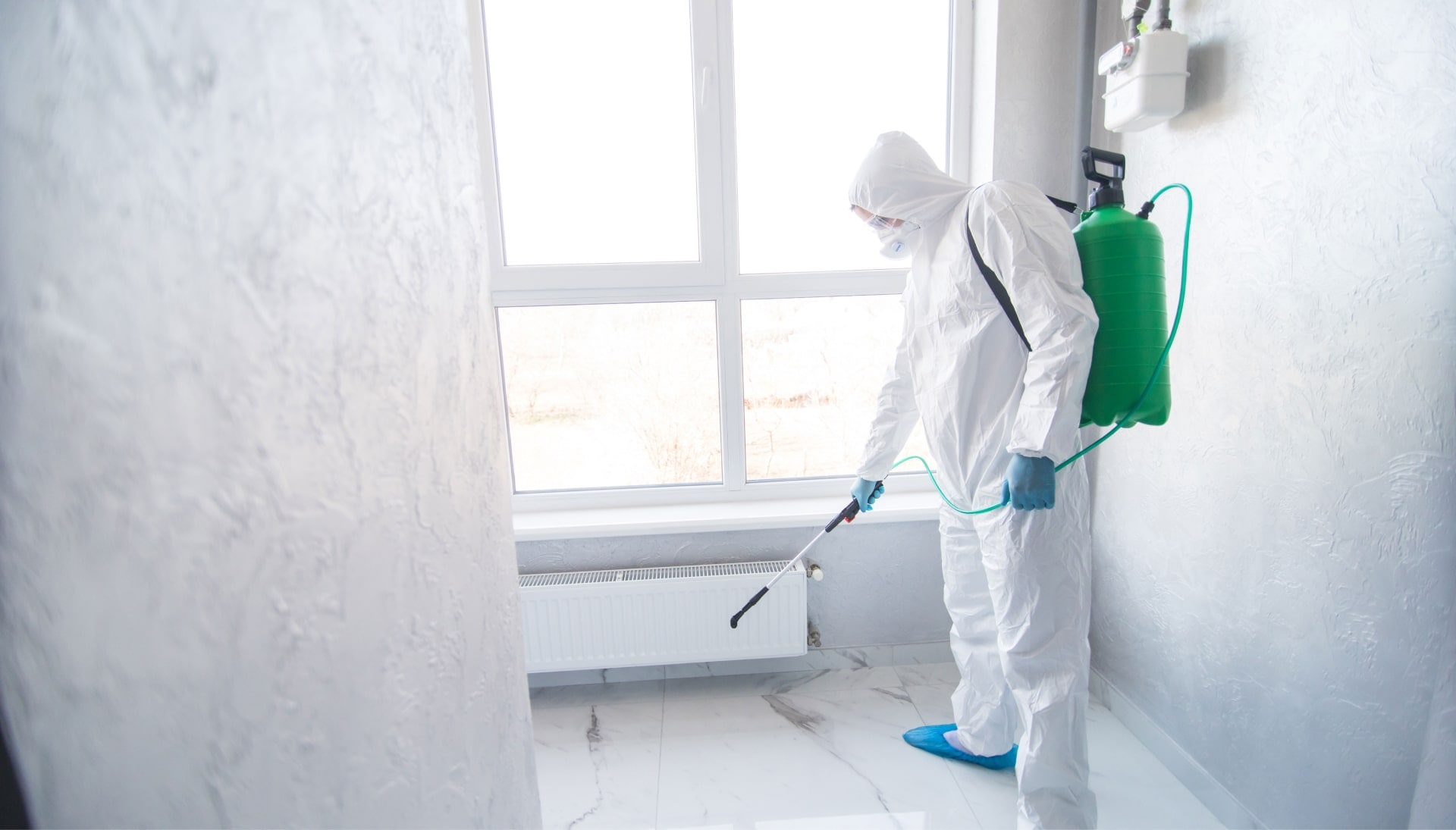 We provide the highest-quality mold inspection, testing, and removal services in the Murfreesboro, Tennessee area.